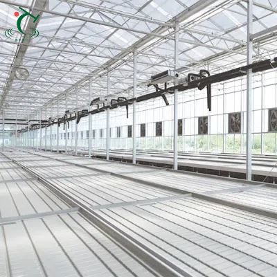 China Venlo Glass Greenhouse For Qatar